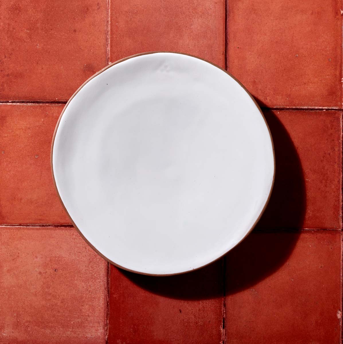 Niso Terracotta & White Glazed Ceramic Dinner Plate