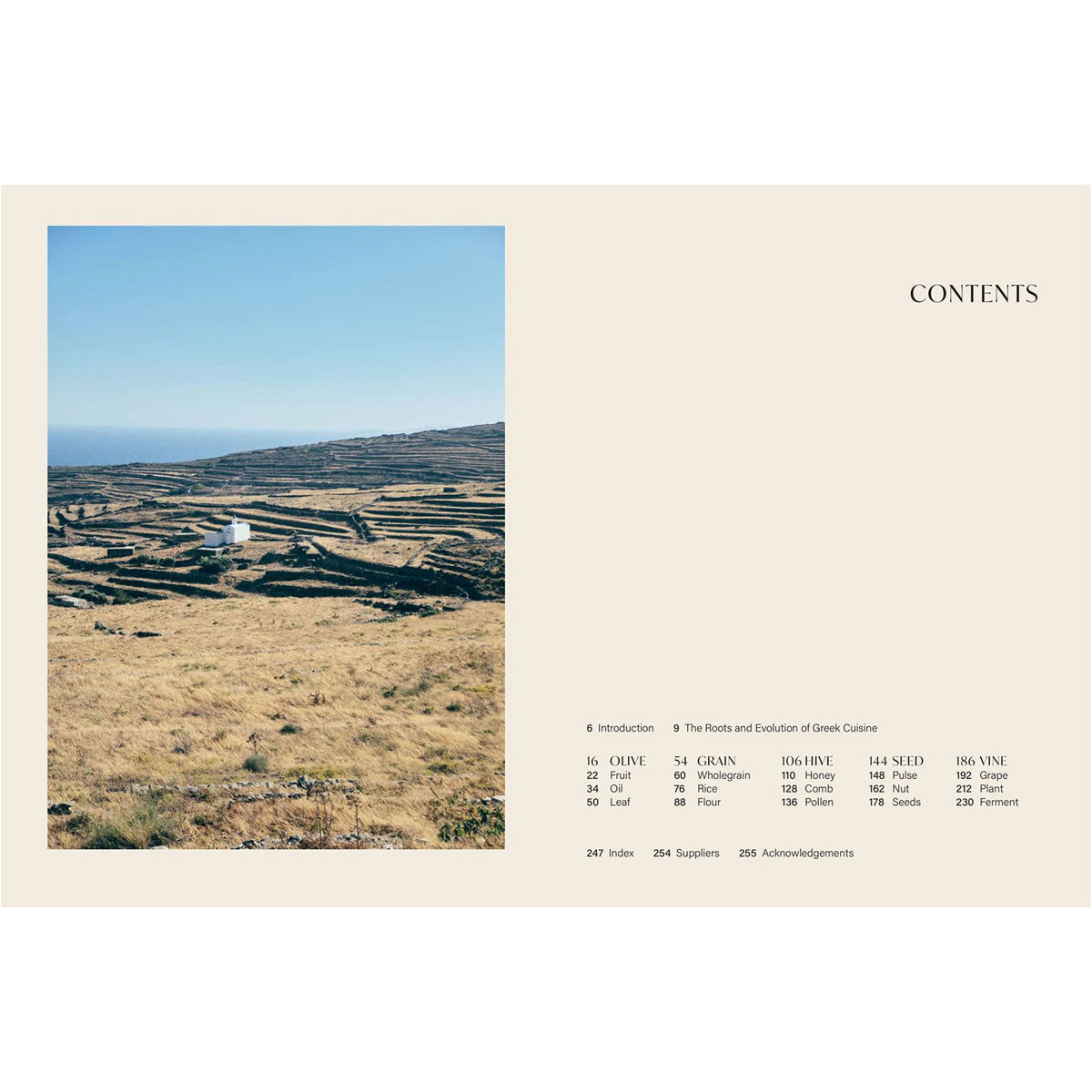 Salt Of The Earth: Secrets and Stories From a Greek Kitchen