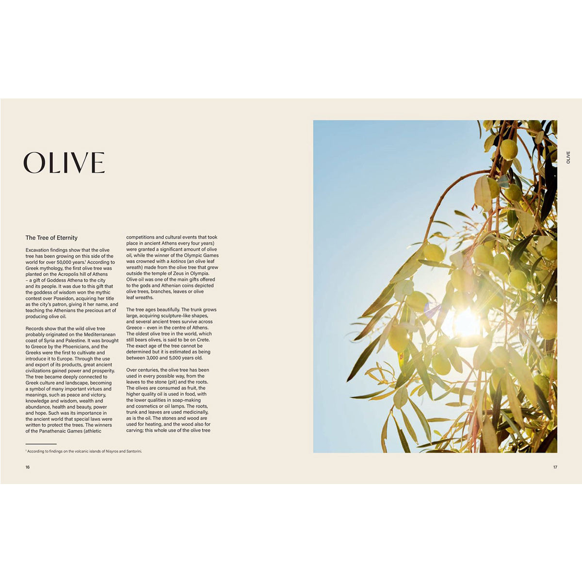 Salt Of The Earth: Secrets and Stories From a Greek Kitchen