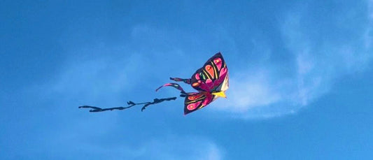 Kites flying in Greece for Clean Monday