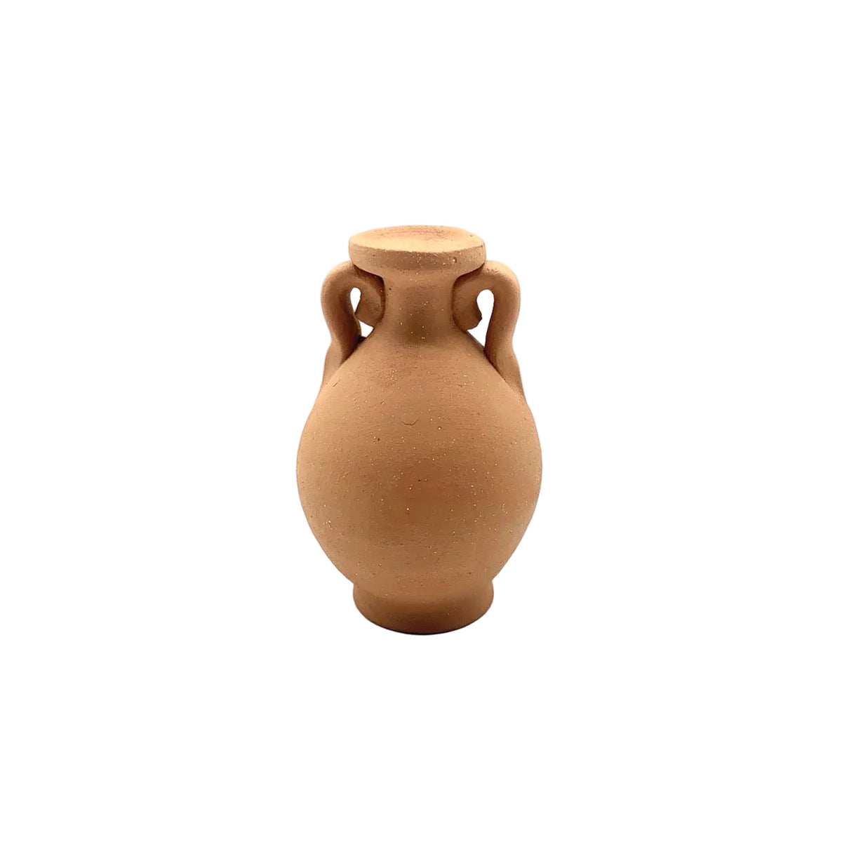 Mini Terracotta Amphora Single Stem Dried Flower Vase - Double Low Handles